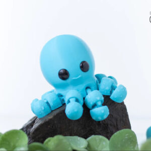 Baby Octopus