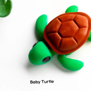 Baby Turtle