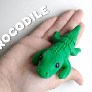 Baby Crocodile