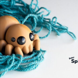 Baby Spider