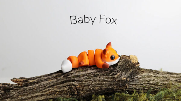 Baby Fox